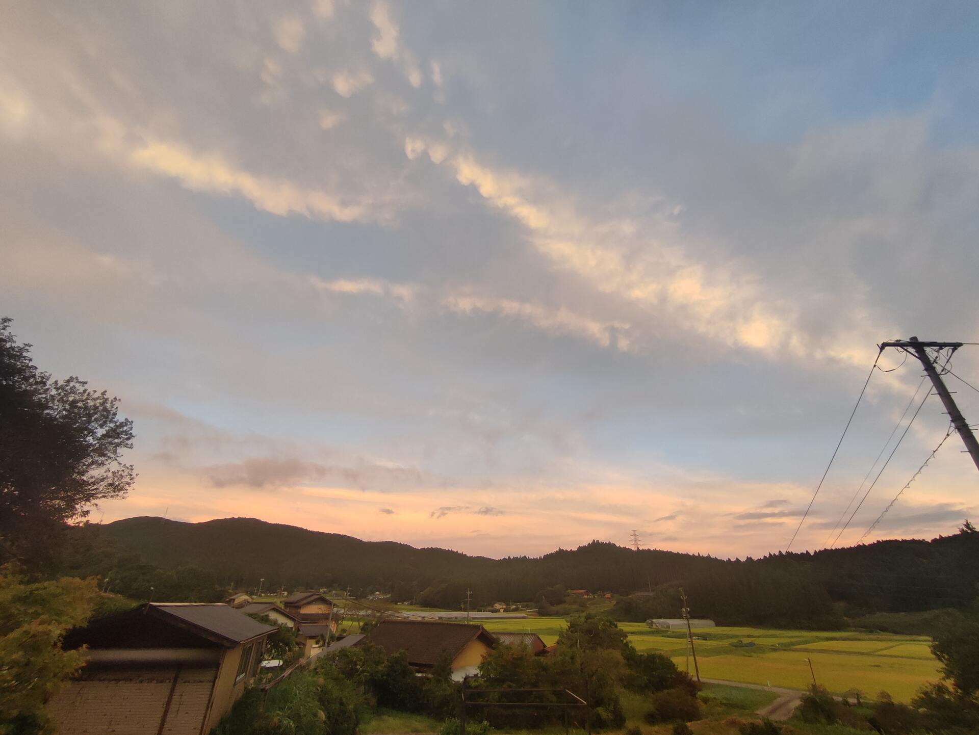 夕暮れの散歩